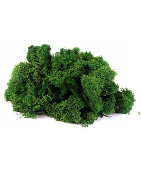mech ozdobny chrobotek 500g zdjęcie 1