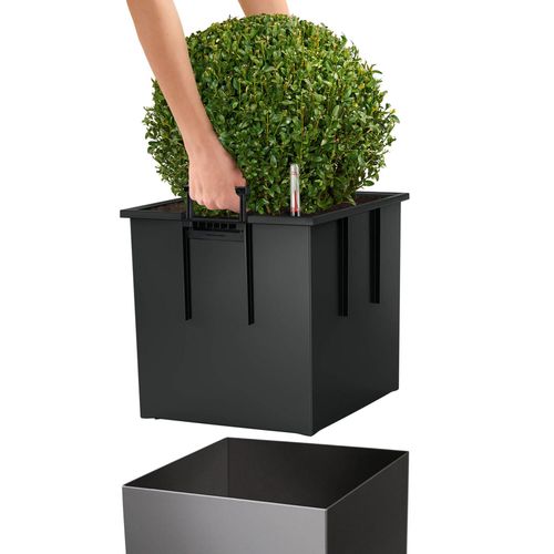 DONICA LECHUZA CUBE PREMIUM 30 TAUPE na Arena.pl