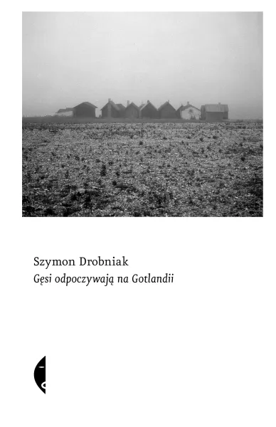 Gęsi Odpoczywają Na Gotlandii zdjęcie 1