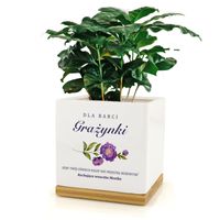 Doniczka ceramiczna kwadratowa na kwiaty prezent z nadrukiem na dzień babci