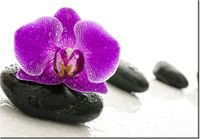 product-compare-58710062