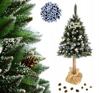 CHOINKA SOSNA DIAMNETOWA VIP 180CM NA NATURALNYM PNIU + LAMPIKI LED GRATIS