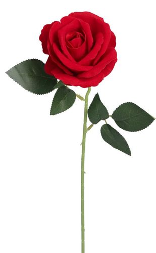 RÓŻA WELUROWA JAK ŻYWA SZTUCZNE KWIATY RÓŻE 50CM na Arena.pl