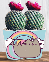 Doniczka do kwiatów/roślin - Pusheen - Kotek