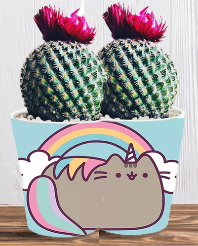 Doniczka do kwiatów/roślin - Pusheen - Kotek na Arena.pl