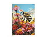 Malowanie po Numerach Farba z Płótnem i Akrylowe Pigmenty 40cm x 50cm