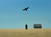 product-compare-59387547