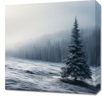 Obraz 50x50cm Samotna Choinka