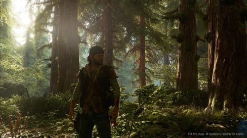 Gra PS4 Days Gone (Kompatybilna z PS5) na Arena.pl