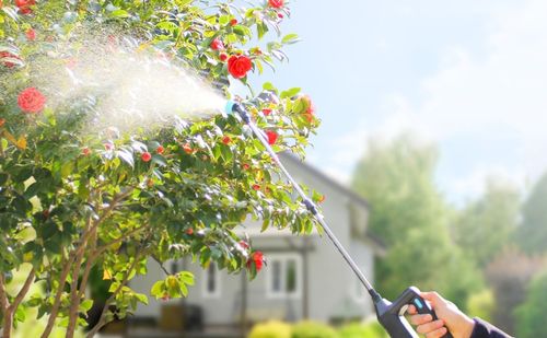 OPRYSKIWACZ CIŚNIENIOWY AKUMULATOROWY ELEKTRYCZNY RĘCZNY OGRODOWY 5L 3DYSZE na Arena.pl