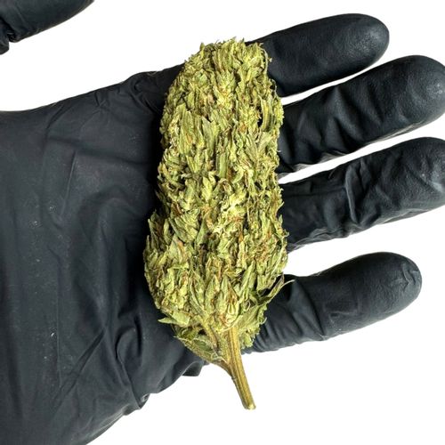 Susz konopny CBD Premafrost 10g na Arena.pl