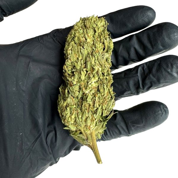 Susz konopny CBD Premafrost 10g zdjęcie 5