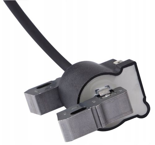 CEWKA ZAPŁONOWA BRIGGS & STRATTON 9-18KM na Arena.pl