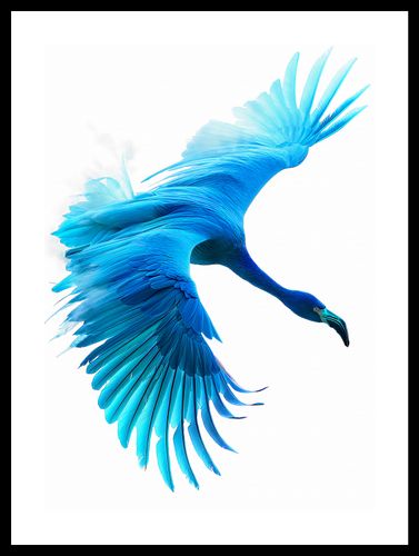Plakat 29,7x42cm Błękitny Lot na Arena.pl