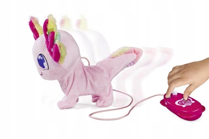 ccl aksoloti 8477 zdjęcie 13