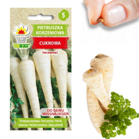PIETRUSZKA KORZENIOWA NASIONA PIETRUSZKI CUKROWA WCZESNA WARZYW 5G