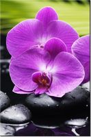 100 70CM OBRAZ PŁÓTNO KAMIENIE STORCZYKI PŁÓTNO RAMA