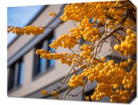 Obraz 50x40cm Złote Jagody