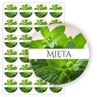 ETYKIETY etykietki arkusz naklejek samoprzylepne kolorowe MIĘTA 24 szt.