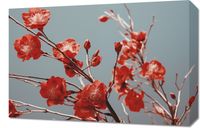 Obraz 60x40cm Szkarłatna Wiosna