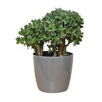 Doniczka osłonka połysk Szary śred. 120 mm H 104 mm