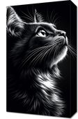 Obraz 30x50cm Portret Zwierząt do Salonu | Kot | Czarno Białe