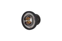 TERMOSTAT WKLAD FORD FIESTA III 1994 1995