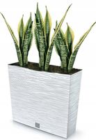 DONICA SKRZYNKA DUŻA KWADRATOWA BIAŁA KONSOLA 60CM FURU