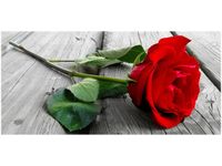 product-compare-58681385