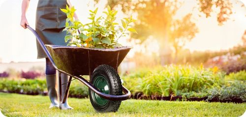 KOŁO KÓŁKO DO TACZKI TACZEK MOCNE Z DĘTKĄ POMPOWANE 4.80/4.00-8 + OŚKA na Arena.pl