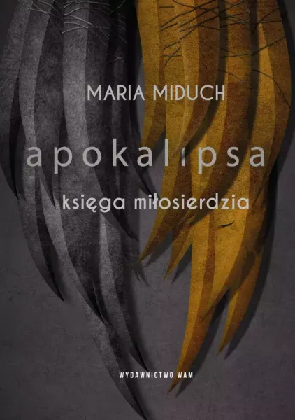 Apokalipsa. Księga miłosierdzia zdjęcie 1