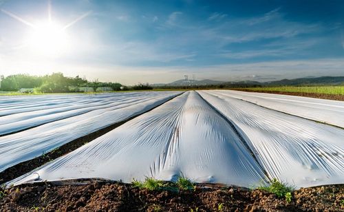 AGROWŁÓKNINA BIAŁA GF 1,6x30m 50g Jesienno/ZIMOWA OKRYCIOWA OTULINA na Arena.pl