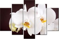 product-compare-58696094