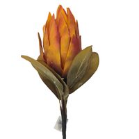 Pianka karczoch pomarańczowa