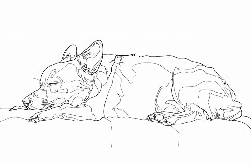 Plakat 91,5x60cm Śpiący Psiak zdjęcie 1