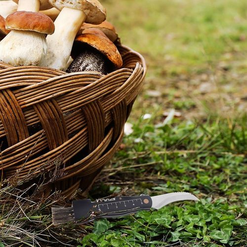 Nożyk do Grzybów Scyzoryk Nóż Grzybiarza Pędzelek Korkociąg Otwieracz Nóż na Arena.pl