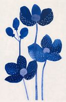 Plakat 56,6x86,4cm Nocne Kwiaty