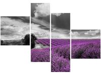 product-compare-58676858