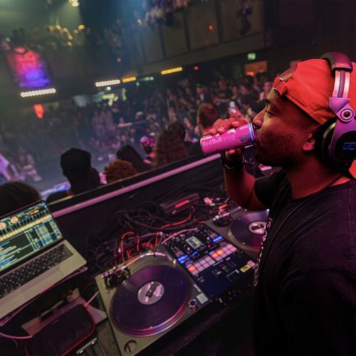 RED BULL Napój Energetyczny Pink owoce leśne bez cukru 12x250ml ZESTAW na Arena.pl