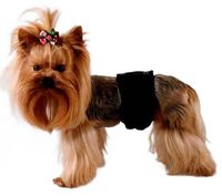 Majtki ochronne dla psa (samca) - Grande Finale Pampas Rozmiar 4 Czarny