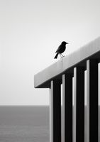 product-compare-59366576