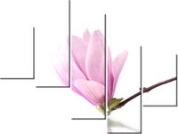100 75CM OBRAZ 5 ELEM GAŁĄZKA MAGNOLII ŚCIENNY