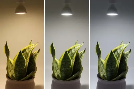 Reflektor ogrodowy wbijany szpikulec z przewodem 1m + żarówka LED GU10 5W zdjęcie 10