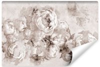 Fototapeta Do Salonu Piwonie Kwiaty Beton Abstrakcja Vintage 360cm x 240cm