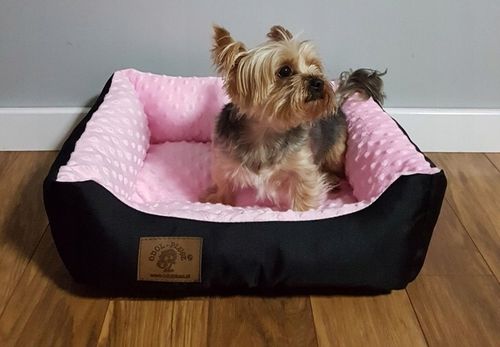 LEGOWISKO KANAPA DLA PSA KOTA YORK 50 x 40 ŁÓŻKO na Arena.pl