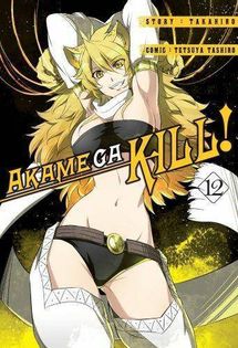 Manga Akame ga kill! Tom 12