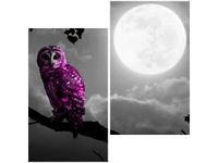 60X60CM FIOLETOWA SOWA DWU OBRAZ ŚCIAN