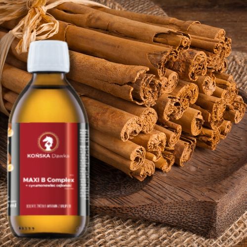 Witamina B B1B2 B3 KOŃSKA DAWKA Cynamonowiec cejloński MAXI B Complex 125ml na Arena.pl