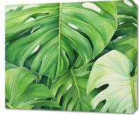 Obraz 70x60cm Tajemnice Liści