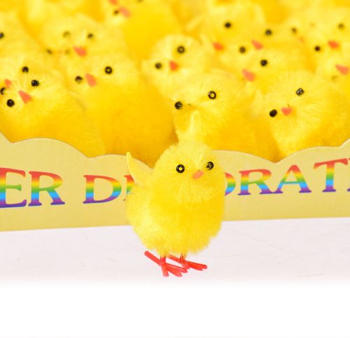 Kurczaki x40 na Arena.pl